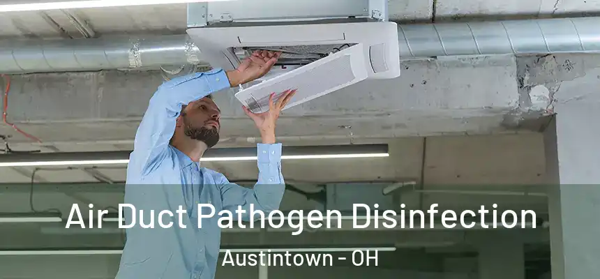  Air Duct Pathogen Disinfection Austintown - OH