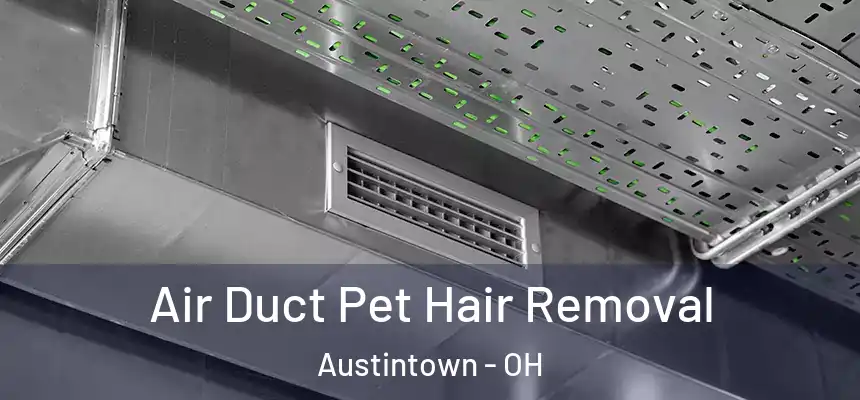Air Duct Pet Hair Removal Austintown - OH