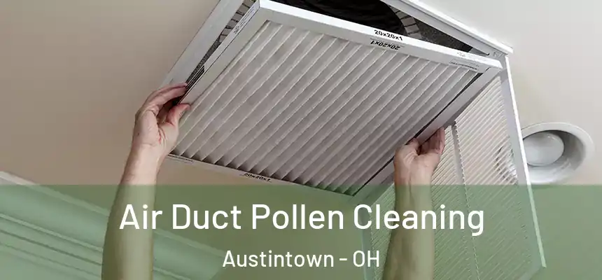  Air Duct Pollen Cleaning Austintown - OH