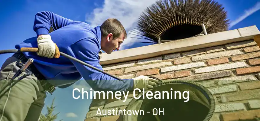  Chimney Cleaning Austintown - OH