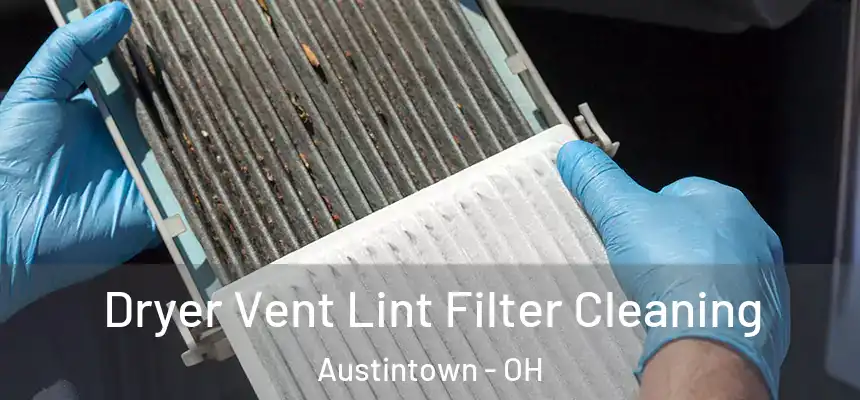  Dryer Vent Lint Filter Cleaning Austintown - OH