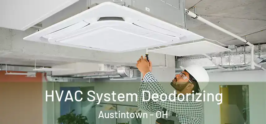  HVAC System Deodorizing Austintown - OH