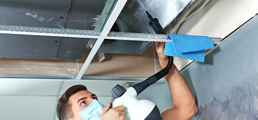Our Air Duct Rodent Removal Services in Austintown, OH