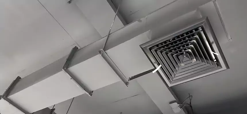 Our Rodent Droppings In Vents Services in Austintown, OH