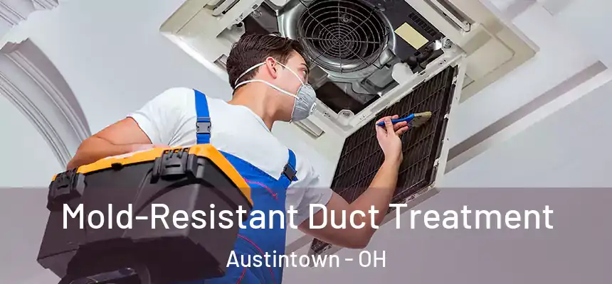  Mold-Resistant Duct Treatment Austintown - OH