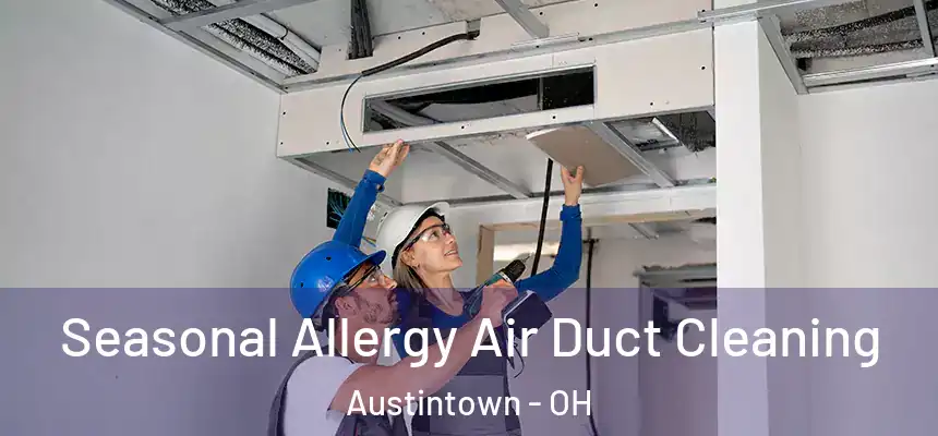 Seasonal Allergy Air Duct Cleaning Austintown - OH