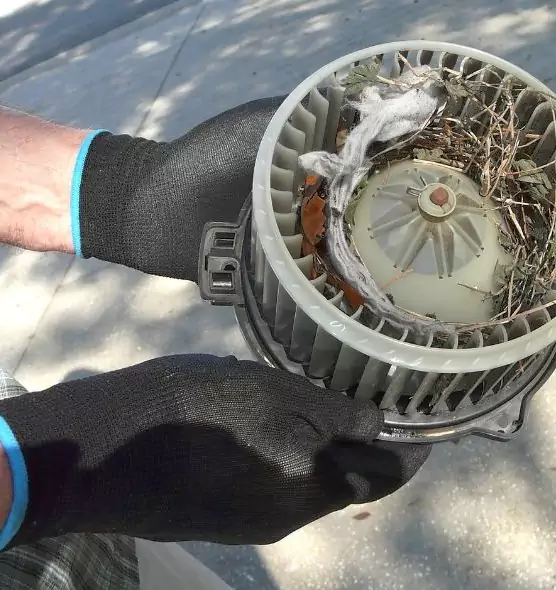 About Air Duct Mice Removal in Austintown, OH