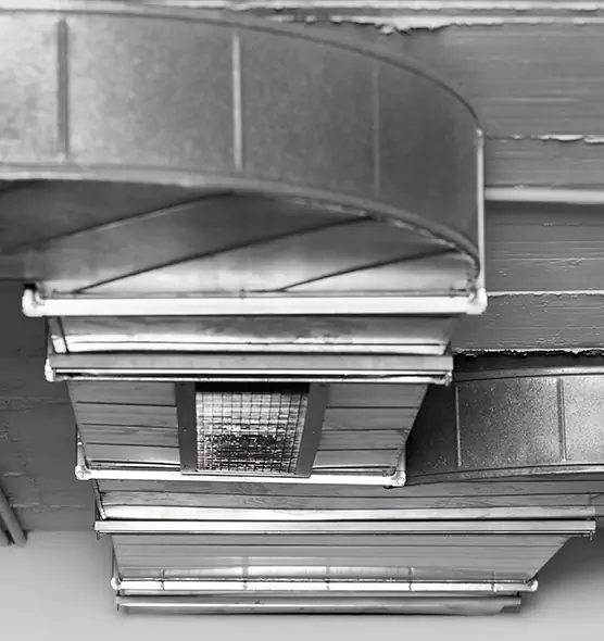 Professional Air Duct Pest Removal in Austintown, OH