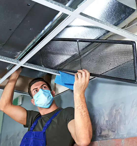 Professional Air Duct Pollen Cleaning in Austintown, OH