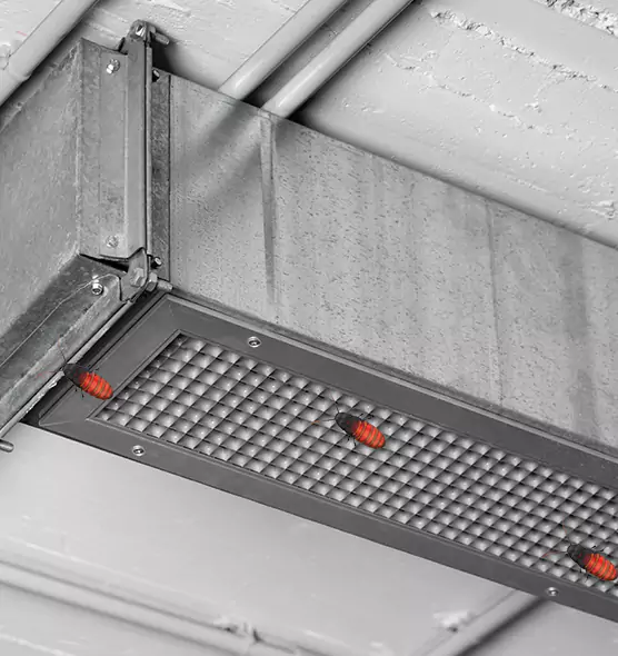 Affordable Insect Removal from Air Ducts in Austintown, OH