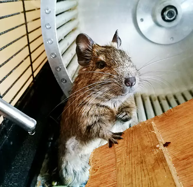 Why Homeowners & Businesses Trust Us Austintown, OH?