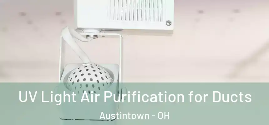  UV Light Air Purification for Ducts Austintown - OH