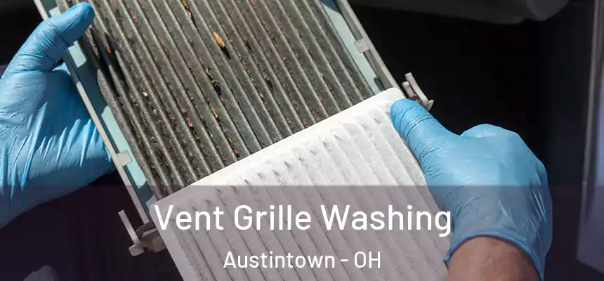  Vent Grille Washing Austintown - OH